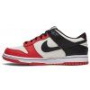 Nike Dunk Low EMB NBA 75th Anniversary Chicago GS