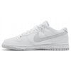 Nike Dunk Low Retro White Pure Platinum