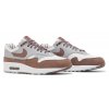 Nike Air Max 1 Premium Shima Shima 2023