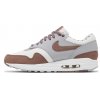 Nike Air Max 1 Premium Shima Shima 2023